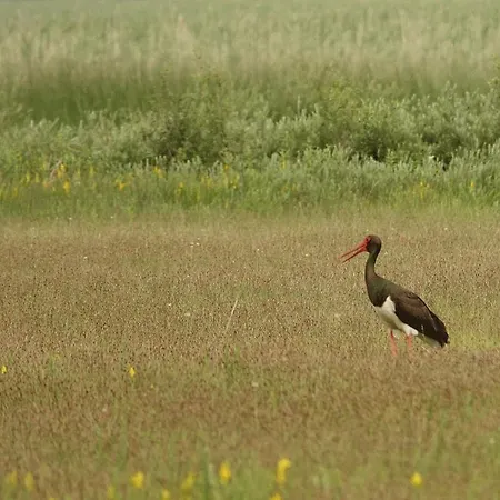 Dormouse House In Slovenia בית נופש