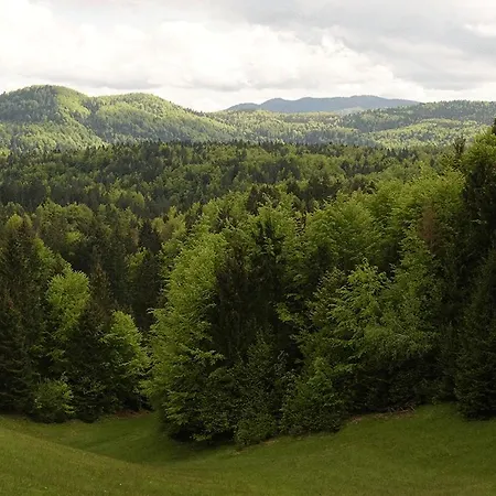 Dormouse House In Slovenia Grahovo