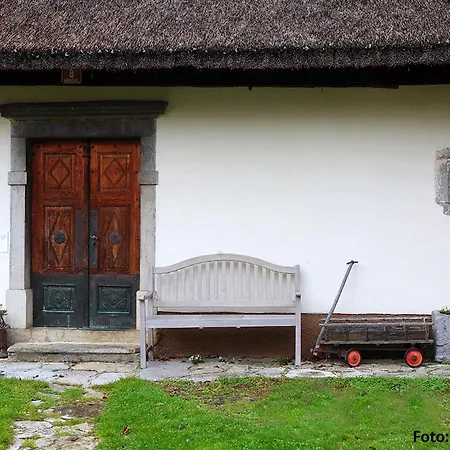 Dormouse House In Slovenia Grahovo