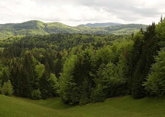 Dormouse House In Slovenia Grahovo