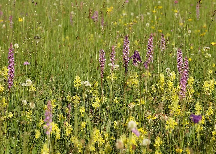 Dormouse House In Slovenia Vakantiehuis Grahovo