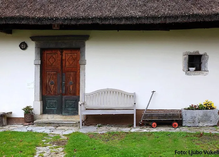 Dormouse House In Slovenia Grahovo